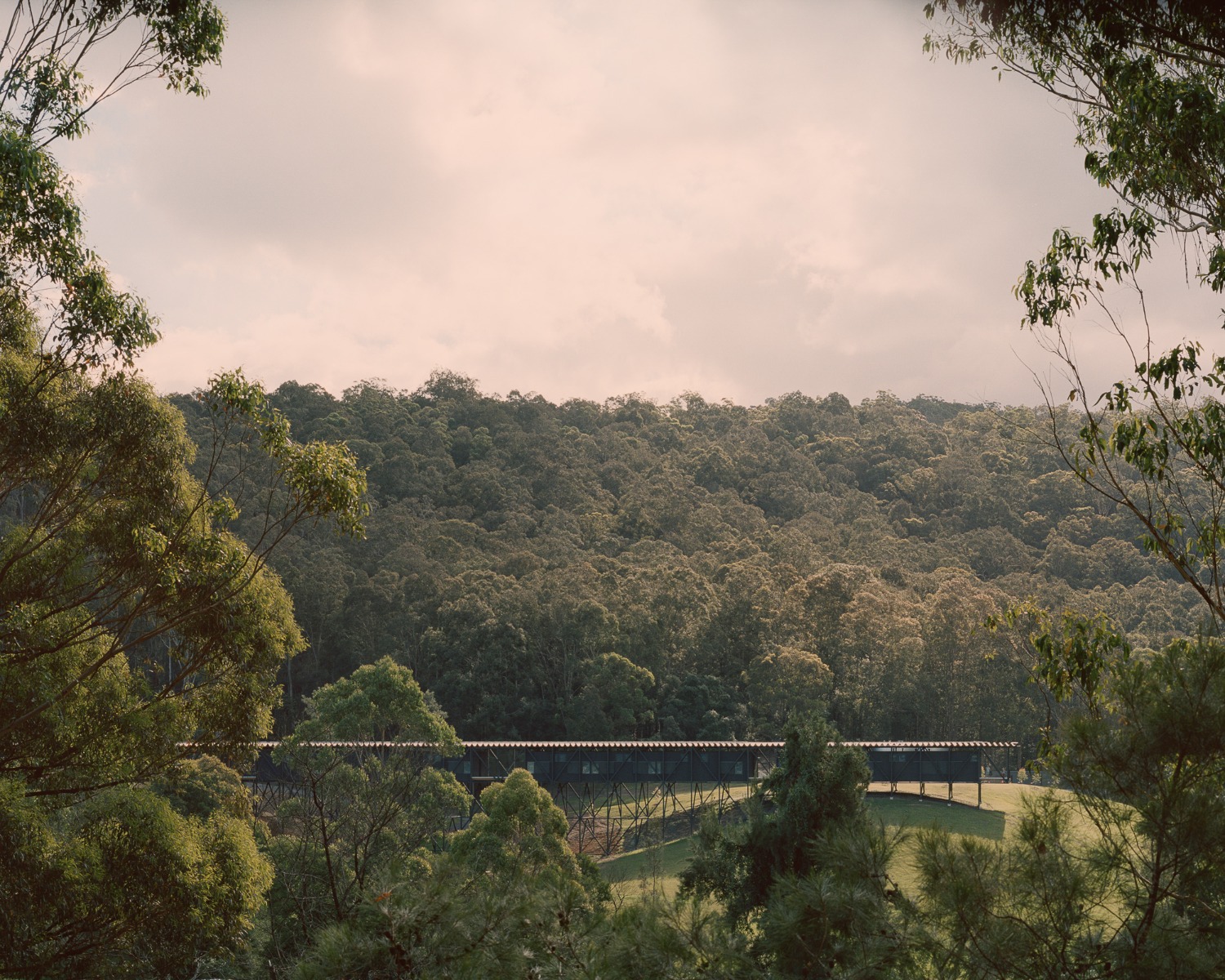 https://detail-cdn.s3.eu-central-1.amazonaws.com/media/catalog/product/0/1/01-bundanon-art-museum-kerstin-thompson-architects.jpg?width=437&height=582&store=de_de&image-type=image