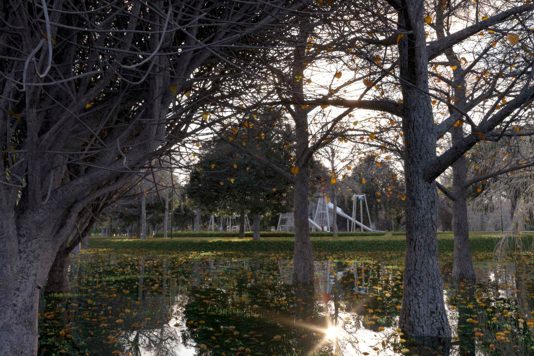 Für die italienische Stadt Pisa haben Bazzini Architekten einen Park mit Wald und Schwammstadt konzipiert © Comune di Pisa