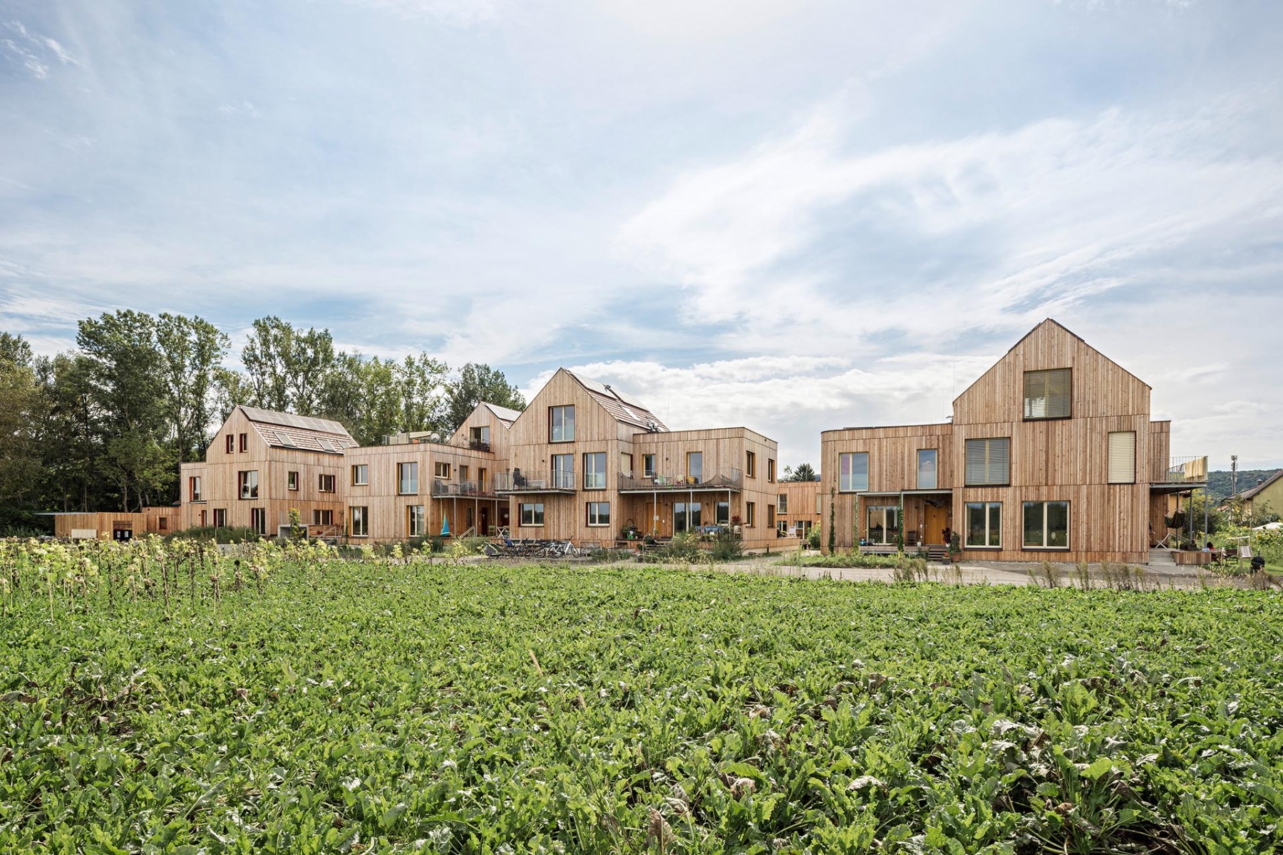 Bei der Wohnsiedlung Auenweide bei Wien von Einszueins Architektur kamen die Materialien Holz, Stroh, Jute und Lehm zur Anwendung. &copy; Hertha Hurnaus 