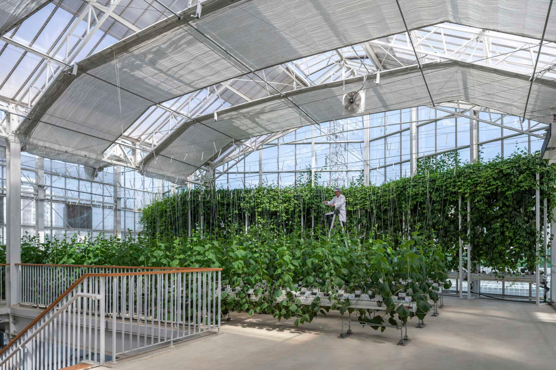 https://detail-cdn.s3.eu-central-1.amazonaws.com/media/catalog/product/0/7/07-vertikale-farm-beijing-van-bergen-kolpa-aechitecten.jpg?width=437&height=582&store=de_en&image-type=image