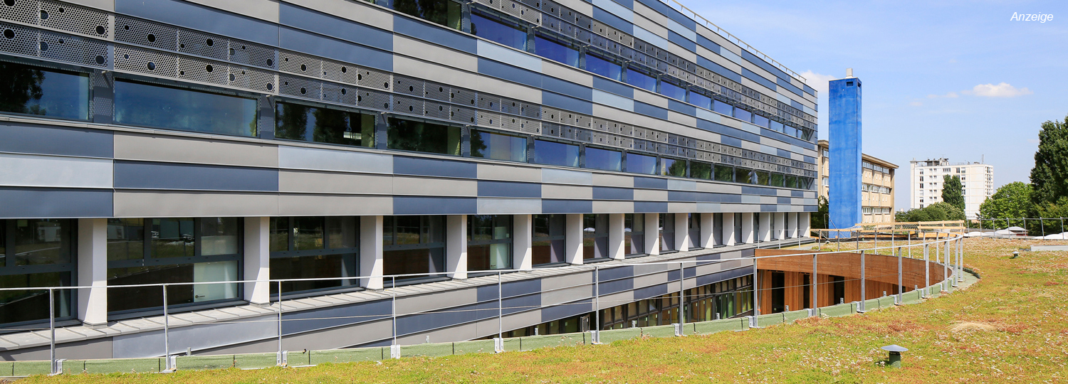 Titanzink: Schulkomplex Jules Verne 