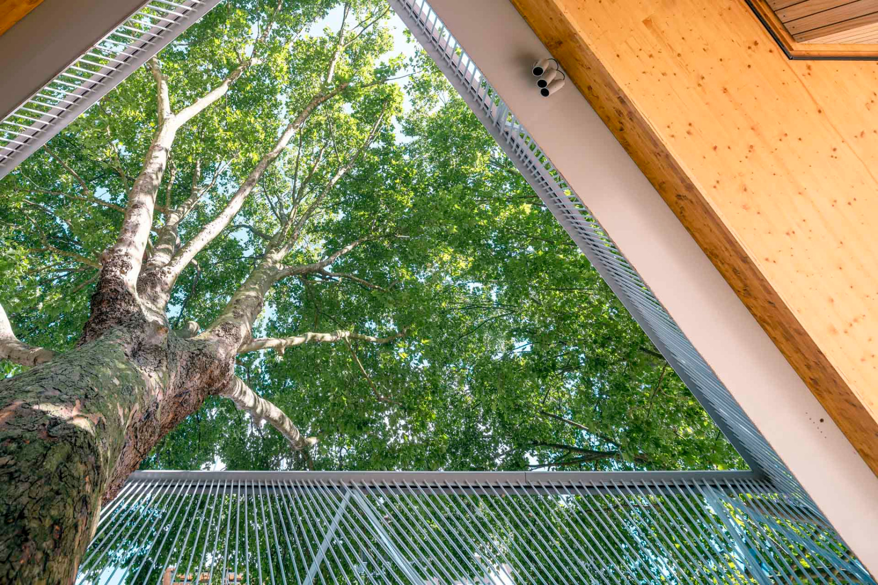 https://detail-cdn.s3.eu-central-1.amazonaws.com/media/catalog/product/1/0/10-tree-house-london-bell-phillips-architects.jpg?width=437&height=582&store=de_de&image-type=image