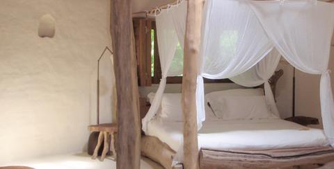 Studio Gang Architects gestalten innovatives Projekt im Lincoln Park Zoo in Chicago