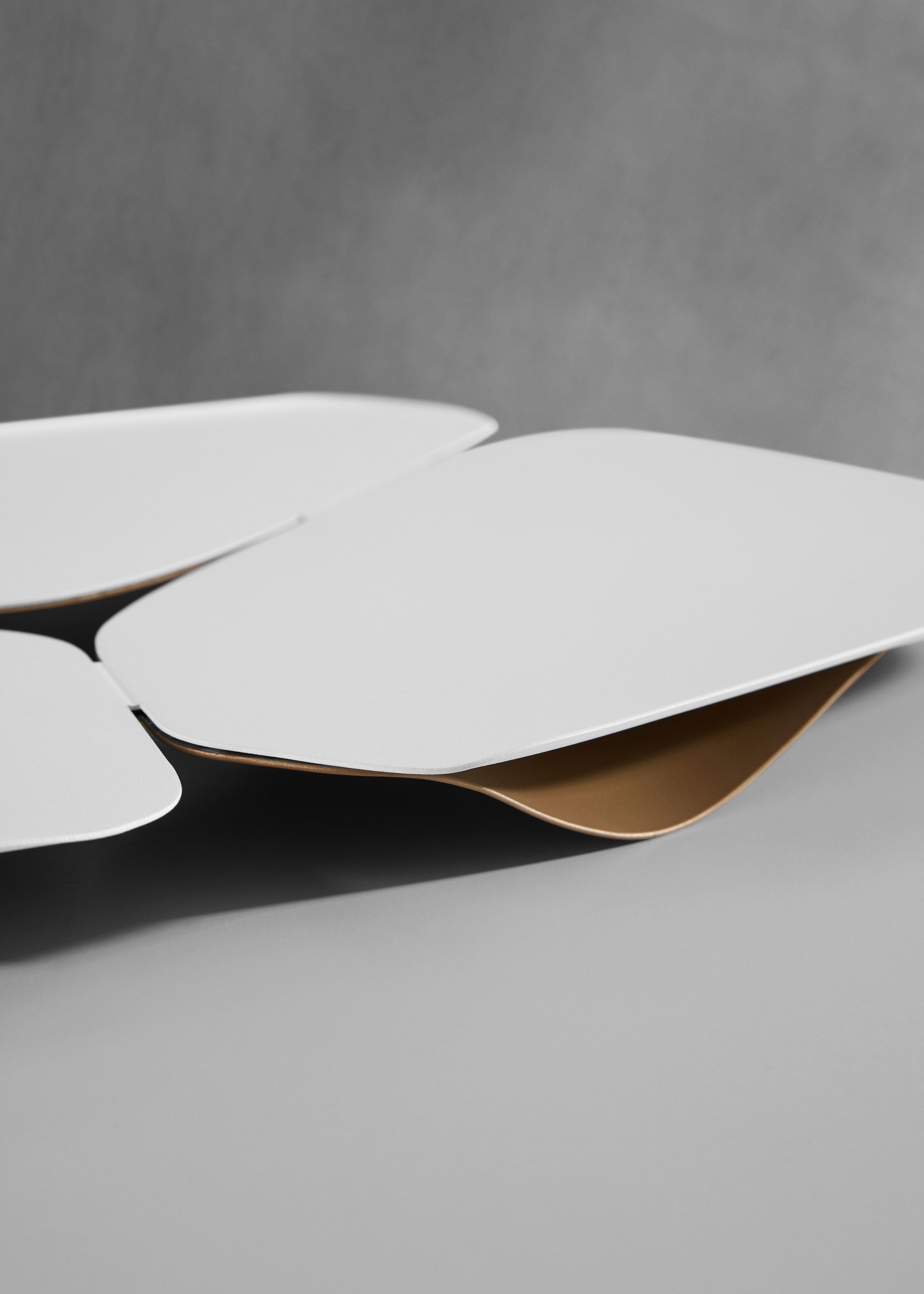 https://detail-cdn.s3.eu-central-1.amazonaws.com/media/catalog/product/2/3/23-MaisonObjet2019-Zaha_Hadid_Design_Hew_Tray__3_.jpg?width=437&height=582&store=de_de&image-type=image