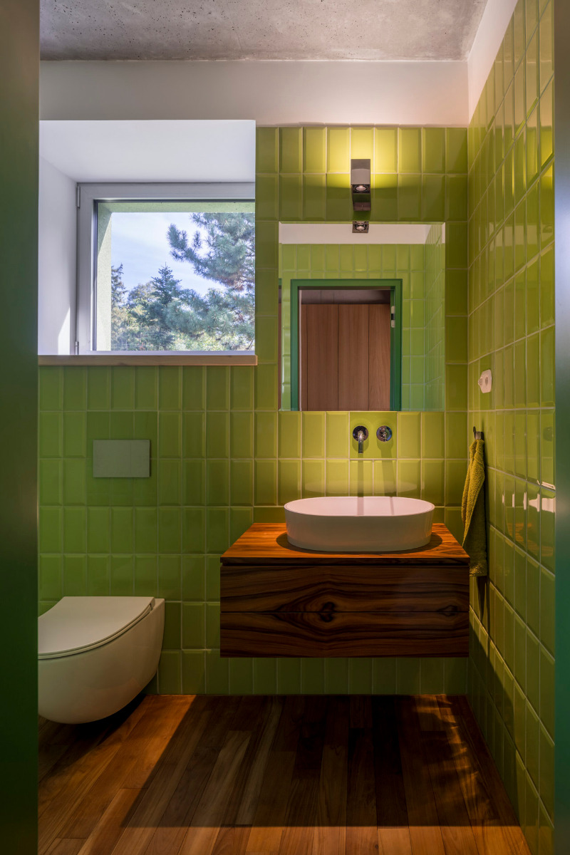 https://detail-cdn.s3.eu-central-1.amazonaws.com/media/catalog/product/2/9/29-green-house-aoc-architekti-prag.jpg?width=437&height=582&store=de_de&image-type=image