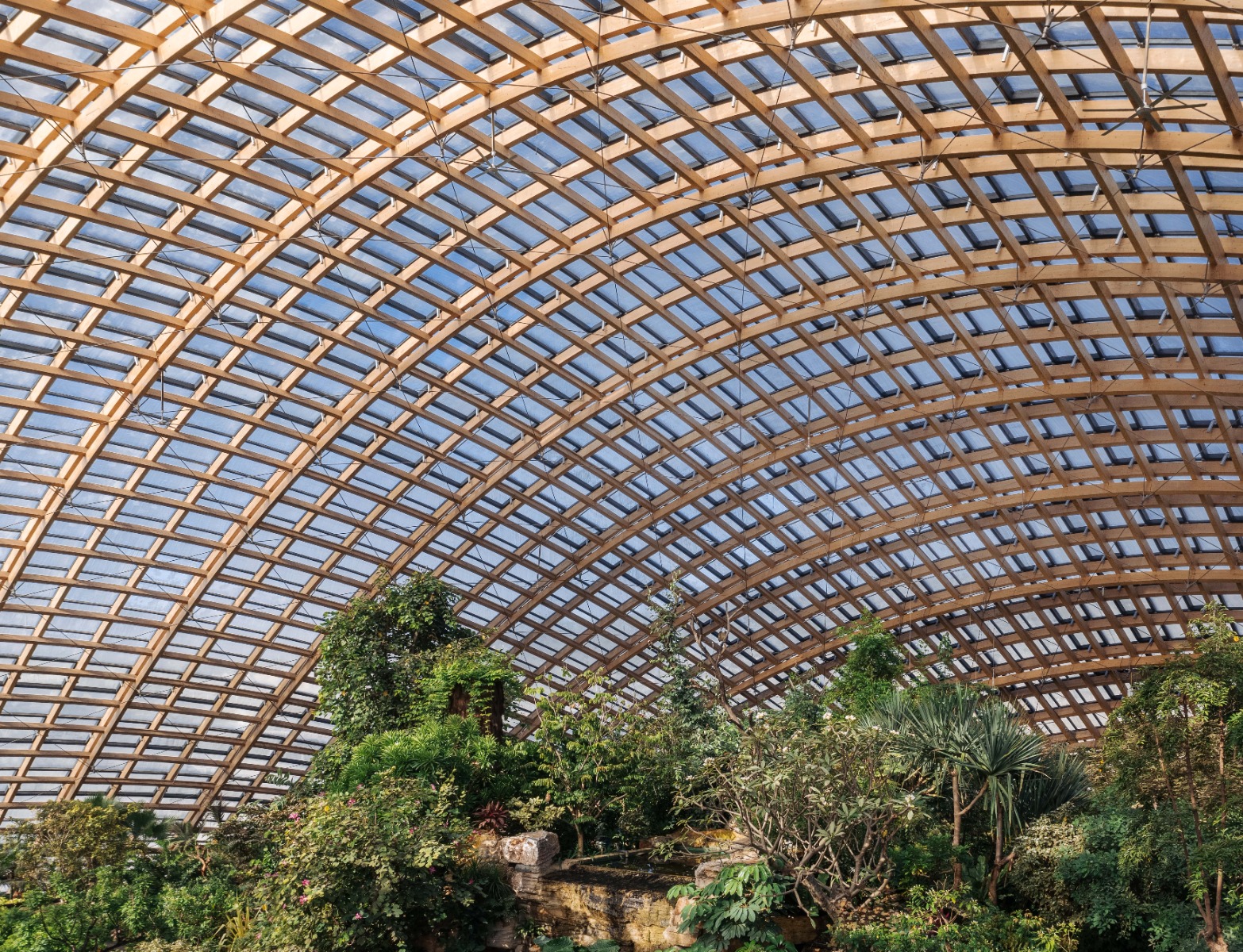 https://detail-cdn.s3.eu-central-1.amazonaws.com/media/catalog/product/3/3/338_dmaa_taiyuan_botanical_garden_02_greenhouse_0871a-pano-creatar_2.jpg?width=437&height=582&store=de_en&image-type=image