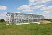 Immergrünes Gras mit Zusatznutzen