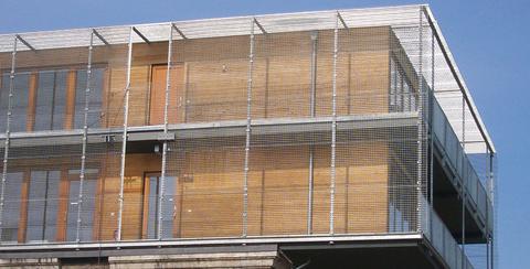 Webster - nichts für Spinnenfeinde