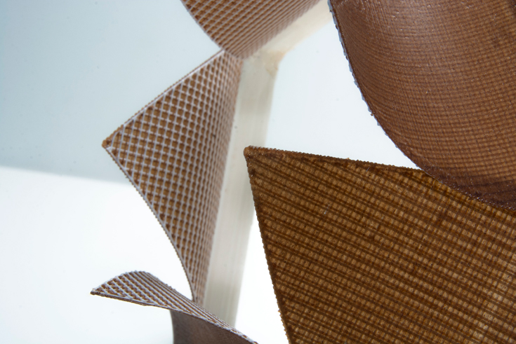 Foto: Bio-inspired 3D Printed Hygroscopic Programmable Material Systems, David Correa, Prof. Achim Menges