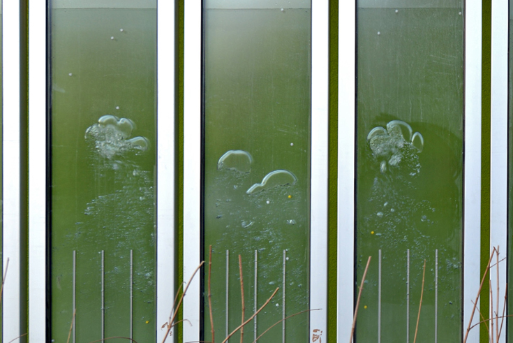 Grüne Bioreaktorfassaden – ein Erfolgskonzept?