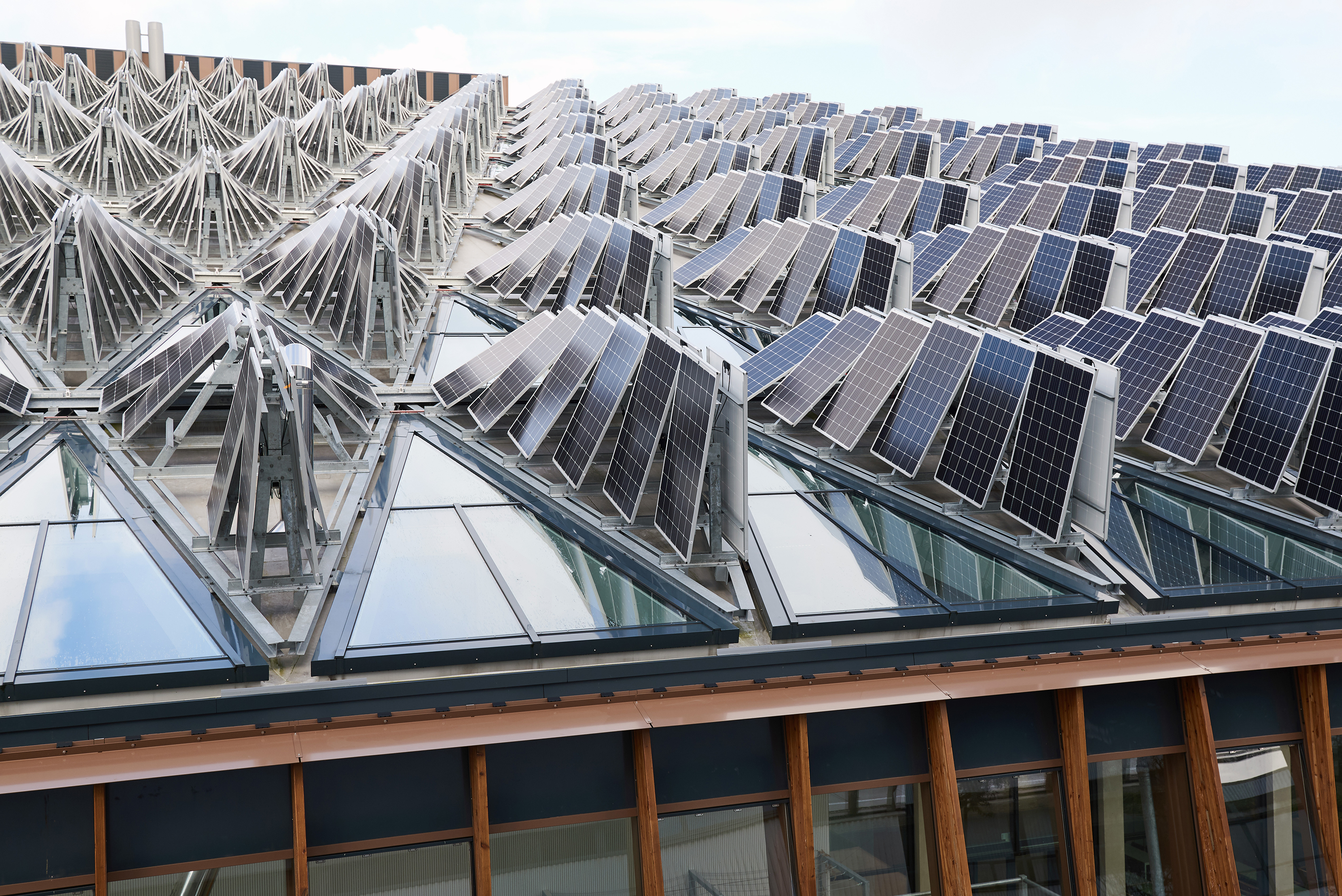 Foto: © Ronald Zijlstra