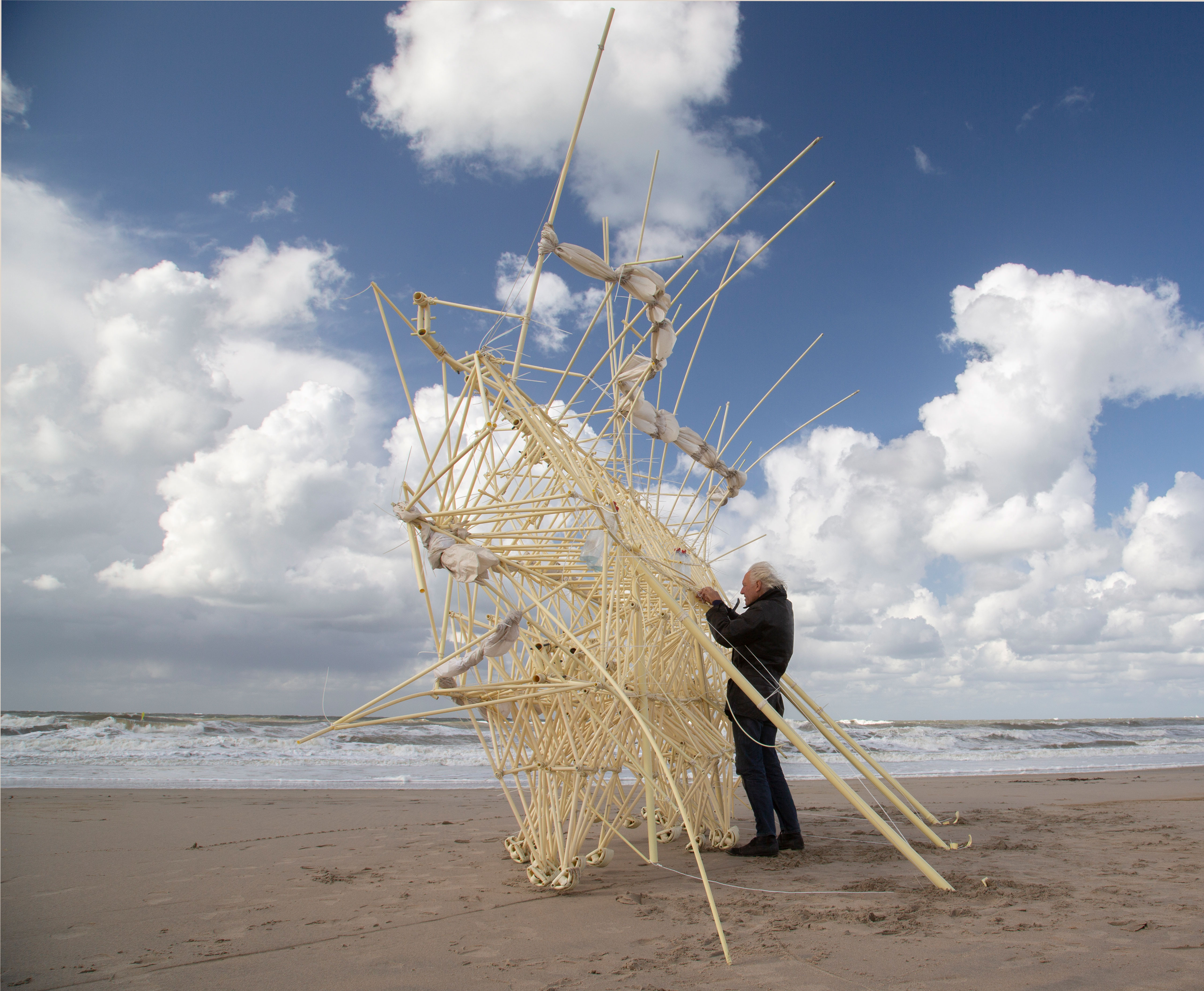 https://detail-cdn.s3.eu-central-1.amazonaws.com/media/catalog/product/F/K/FKV_EmSys_Theo-Jansen_Strandbeest_-Photo-Uros-Kirn_-2013_Copyright-Jansen.jpg?width=437&height=582&store=de_de&image-type=image