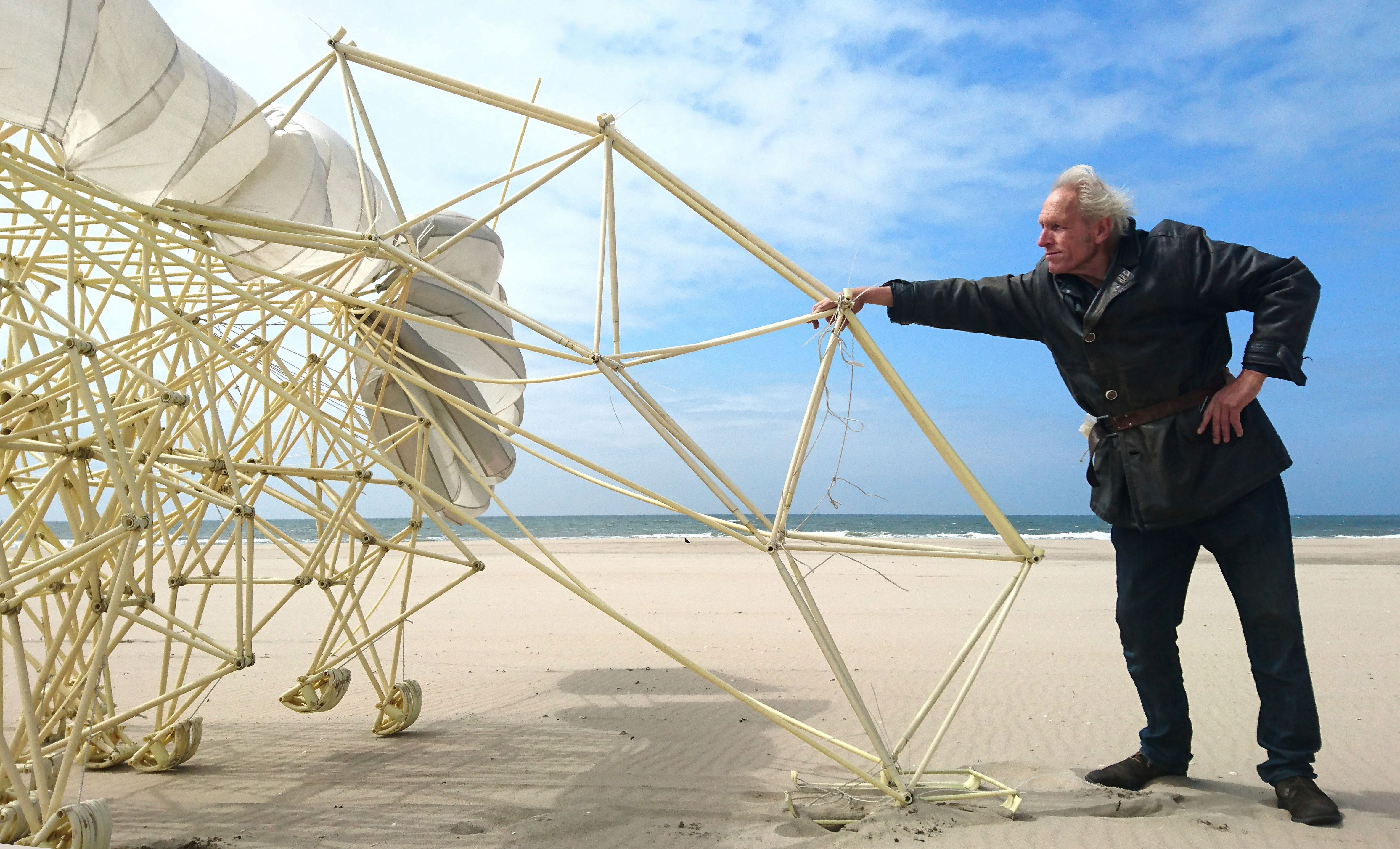 https://detail-cdn.s3.eu-central-1.amazonaws.com/media/catalog/product/F/K/FKV_EmSys_Theo-Jansen_Strandbeest_Mulus_2017_Copyright-Jansen.jpg?width=437&height=582&store=de_de&image-type=image