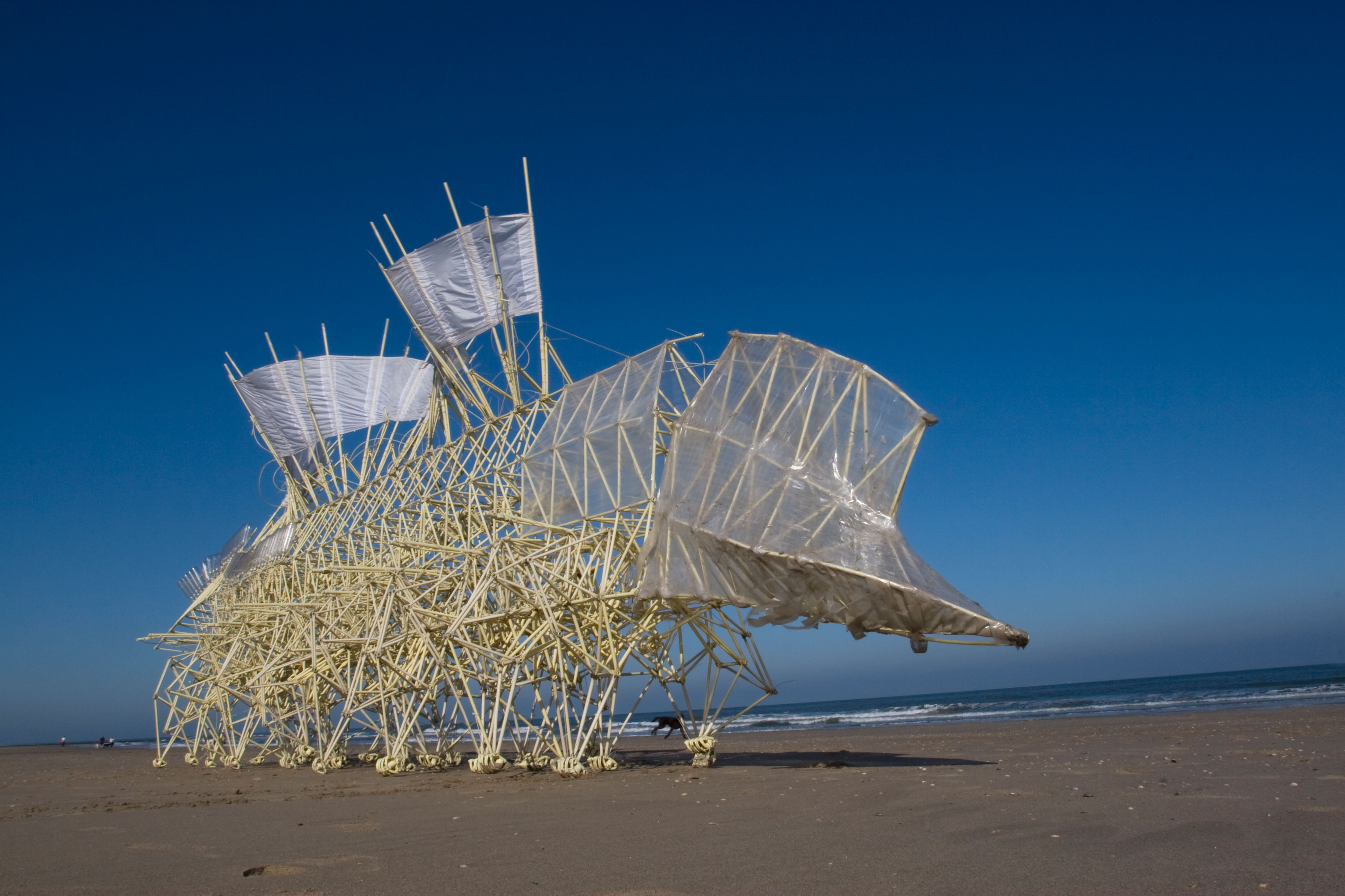 https://detail-cdn.s3.eu-central-1.amazonaws.com/media/catalog/product/F/K/FKV_EmSys_Theo-Jansen_Strandbeest_Umerus_2009_Photo-Loek-van-der-Klis.jpg?width=437&height=582&store=de_de&image-type=image