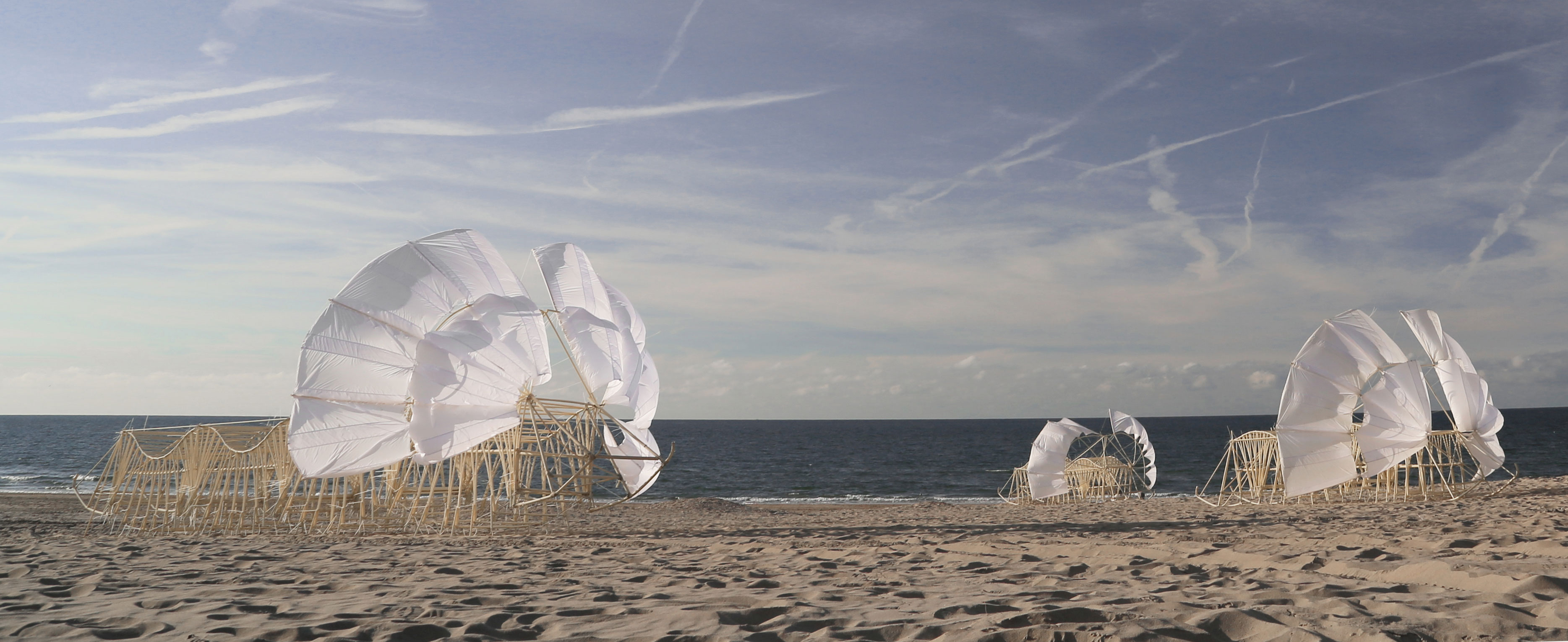 https://detail-cdn.s3.eu-central-1.amazonaws.com/media/catalog/product/F/K/FKV_EmSys_Theo-Jansen_Strandbeests_Uminami_2018_Copyright-Jansen.jpg?width=437&height=582&store=de_de&image-type=image