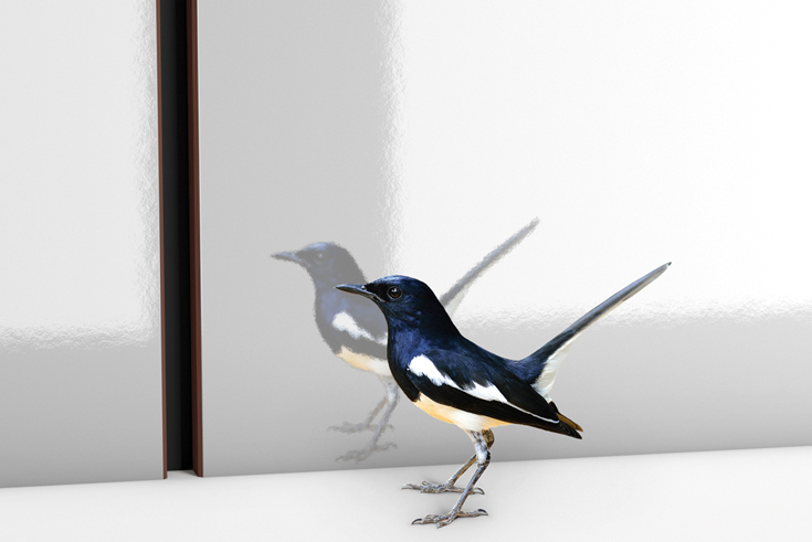 Neue Dekor-Kollektion