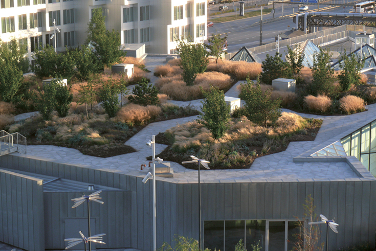 Dachgarten mit Schärencharakter