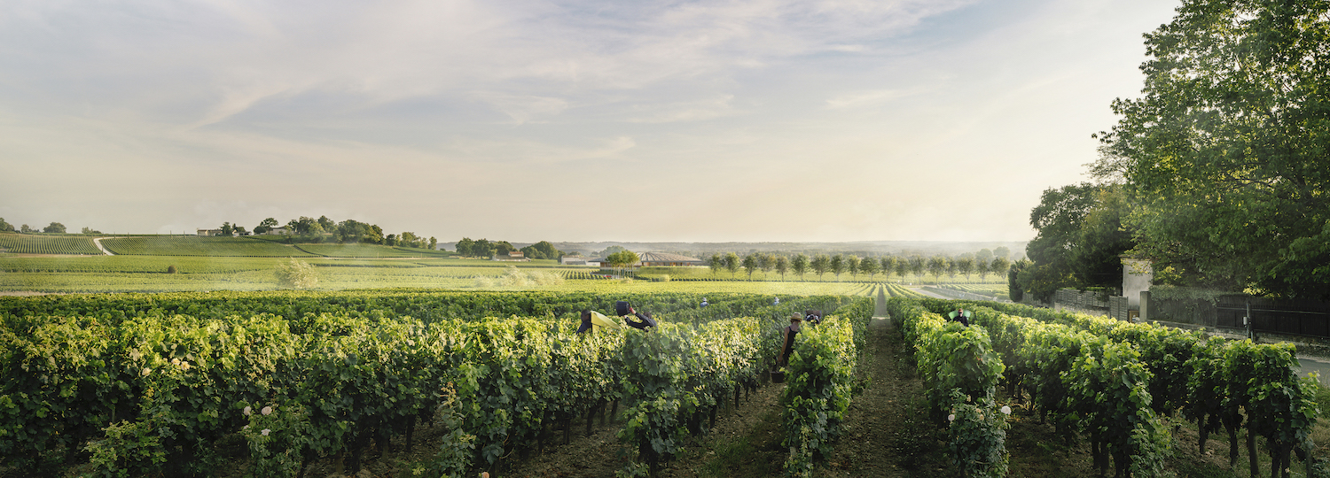 Visualisation: Foster + Partners