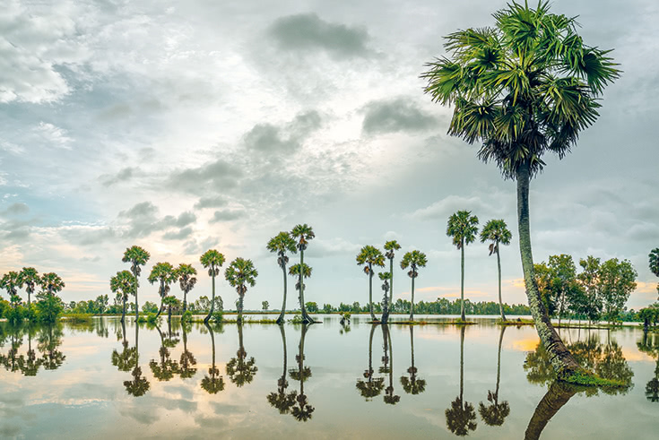 Bildquelle: GettyImages