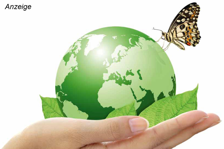 OWA green circle: Recycling-Kreislauf für Decken