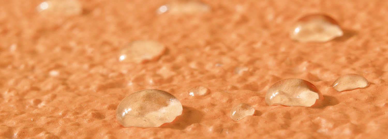 Übertragung des natürlichen Lotus-Effekts auf die Fassadenfarbe Lotusan (Bild: Sto AG)