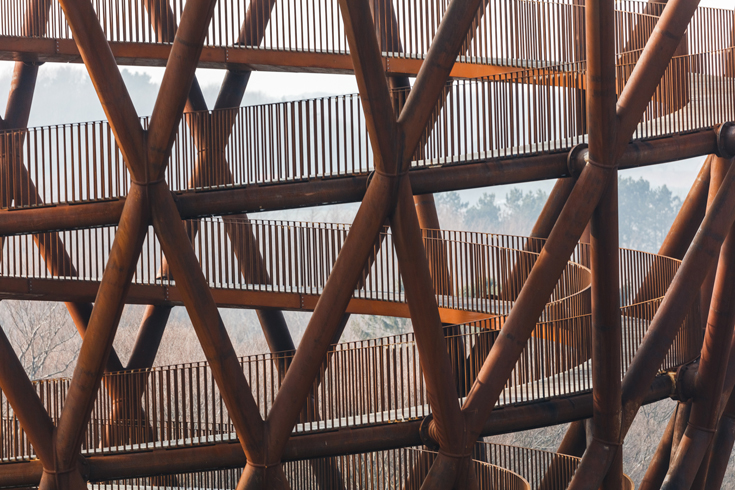 Foto: Rasmus Hjortshoj