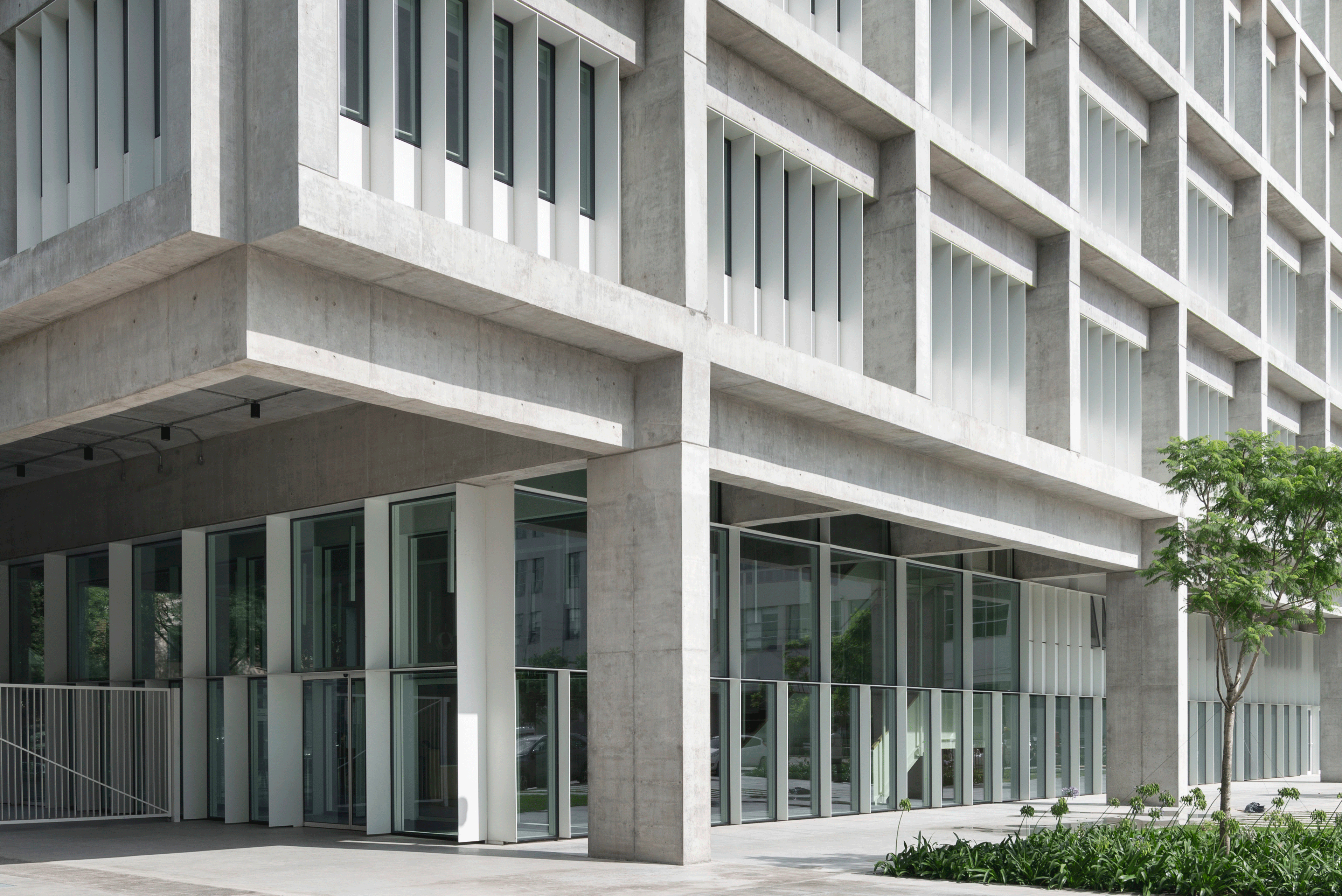 Foto: Federico Cairoli