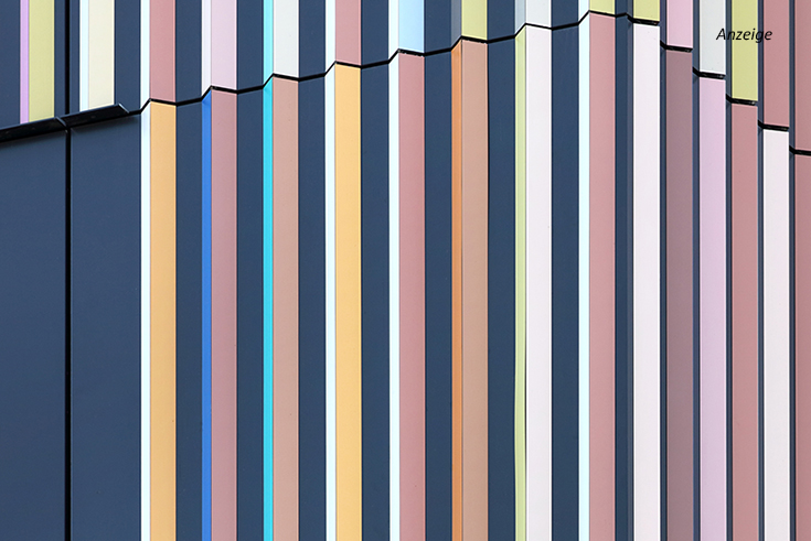 Foto: Conné van d´Grachten/HD Wahl GmbH