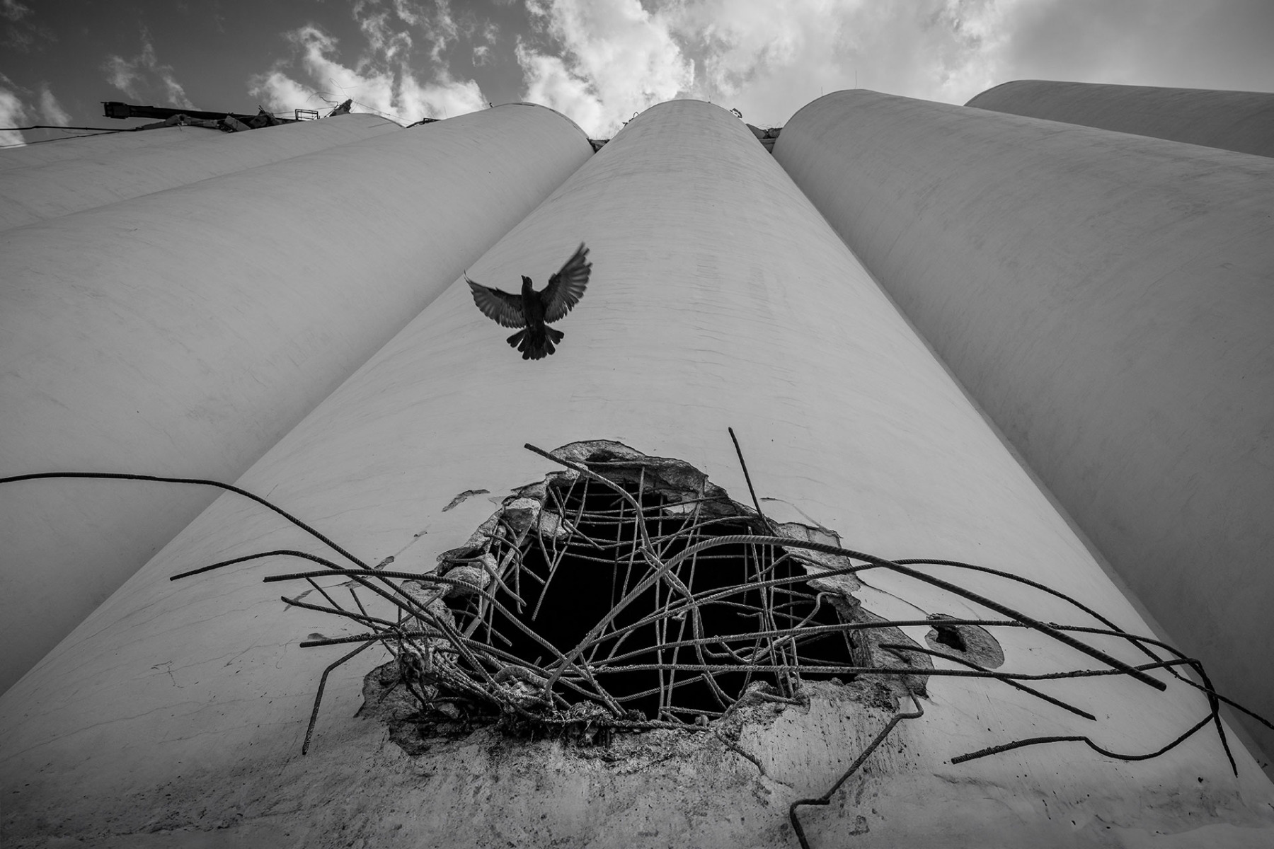 Architecture Matters 2024