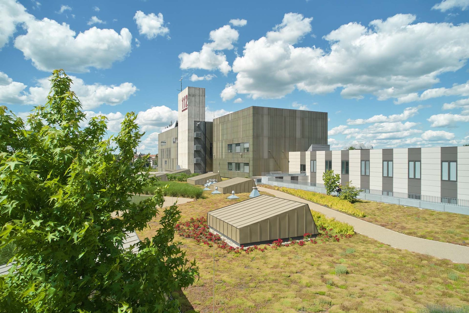 Extensive Dachbegrünung auf einer Feuerwache