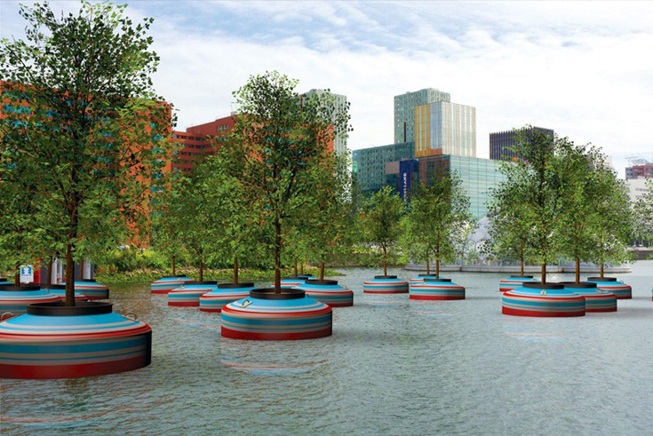 Schwimmende Bäume: Urbane Installation in Rotterdam