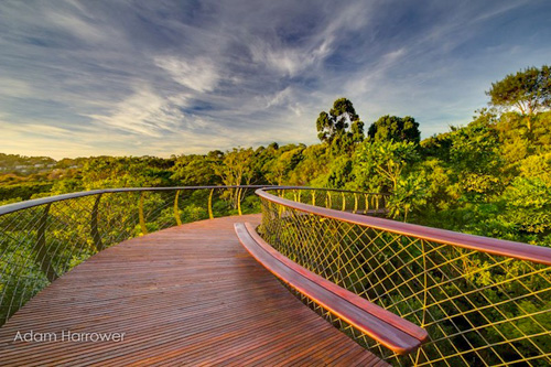 https://detail-cdn.s3.eu-central-1.amazonaws.com/media/catalog/product/c/e/centenary-tree-canopy-walk-south-africa-5_1.jpg?width=437&height=582&store=de_en&image-type=image