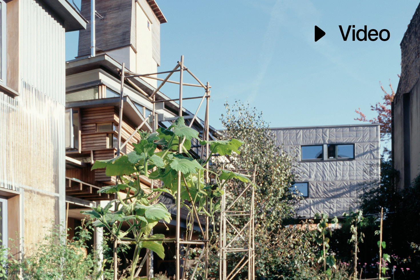 Sarah Wigglesworth and her Straw Bale House in London