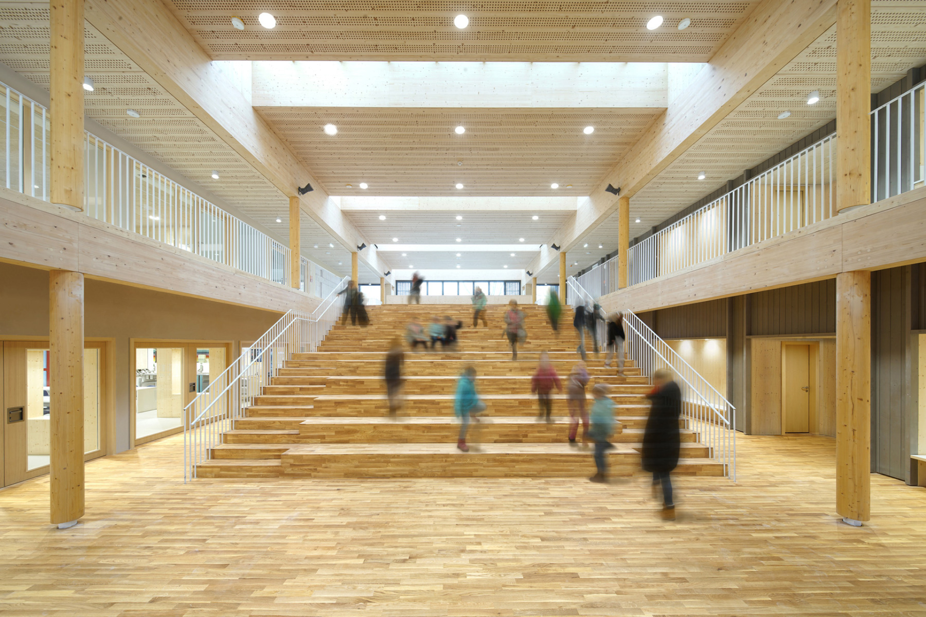 &#xA9;&#x20;David&#x20;Matthiessen