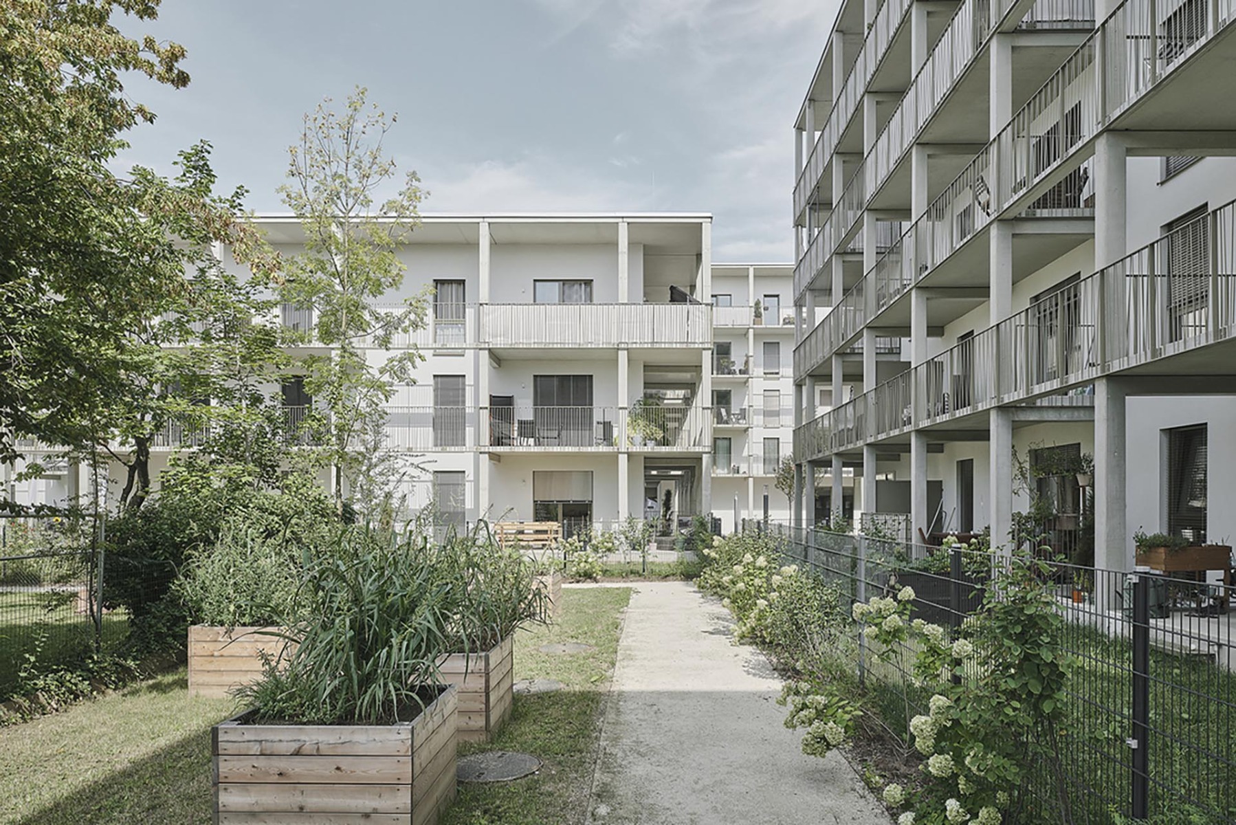 Marburgerhöfe der STP Wohnungserrichtungs-/Immobiliengesellschaft, Architektur: Balloon, © David Schreyer 