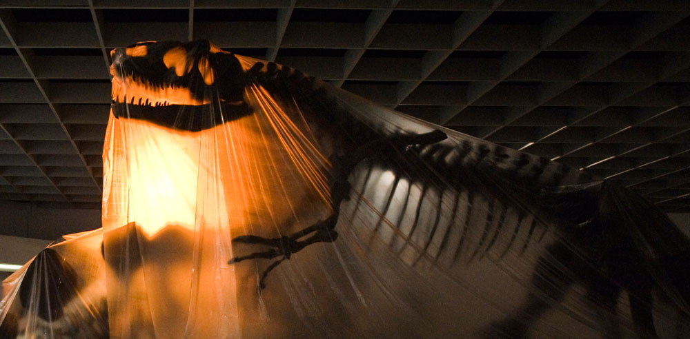 15.000 Löcher zur Wärmedämmung: LWL-Museum für Naturkunde in Münster