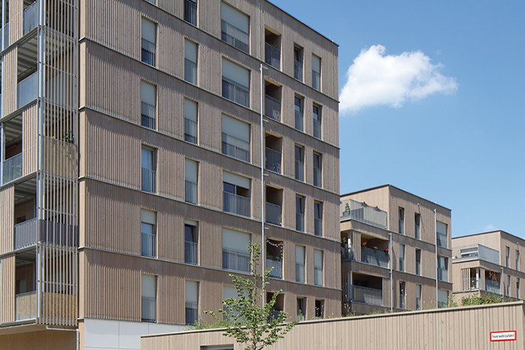 Urban Development with Timber Construction