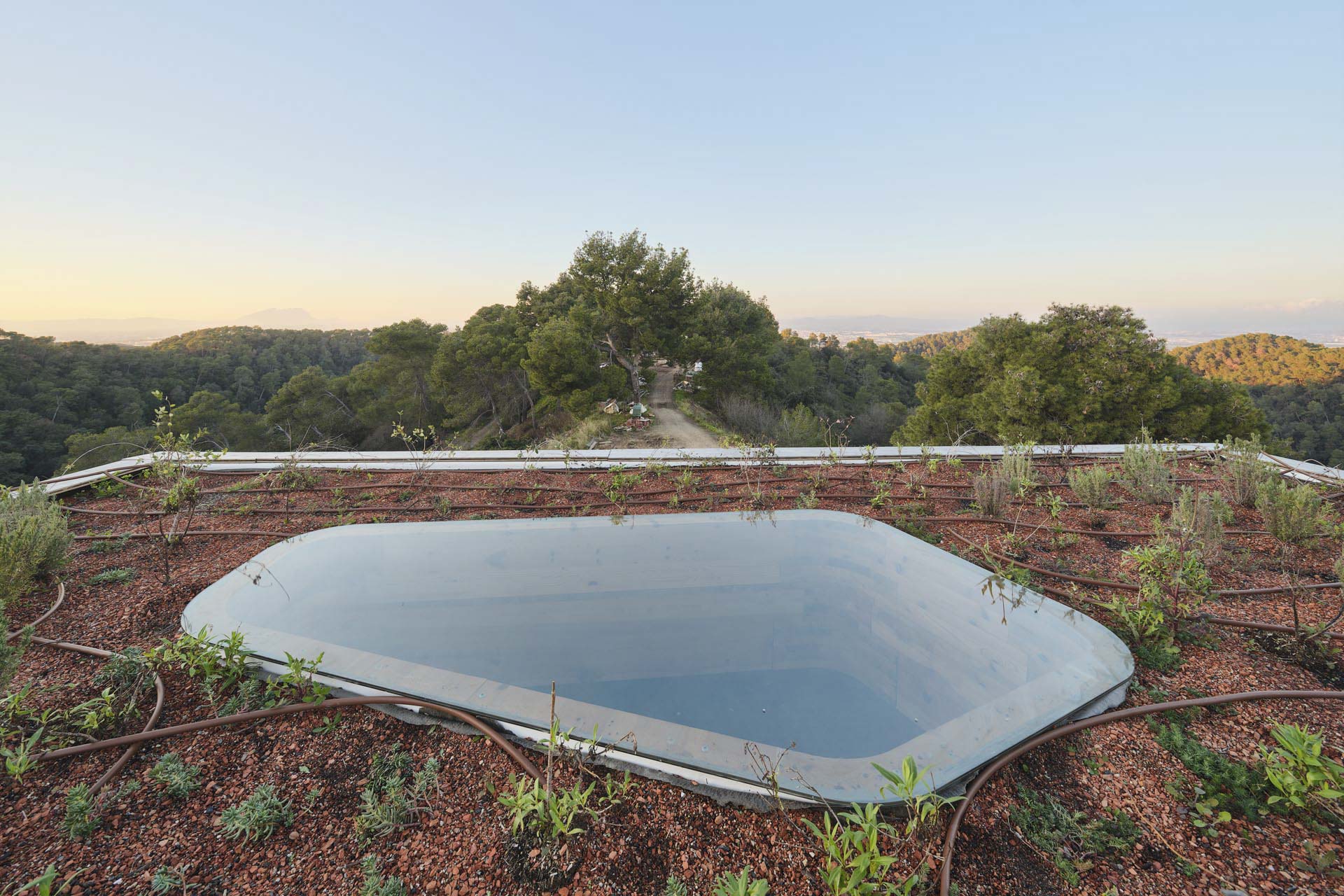 Flachdach mit leichter Begrünung und organisch geformtem Dachlicht.