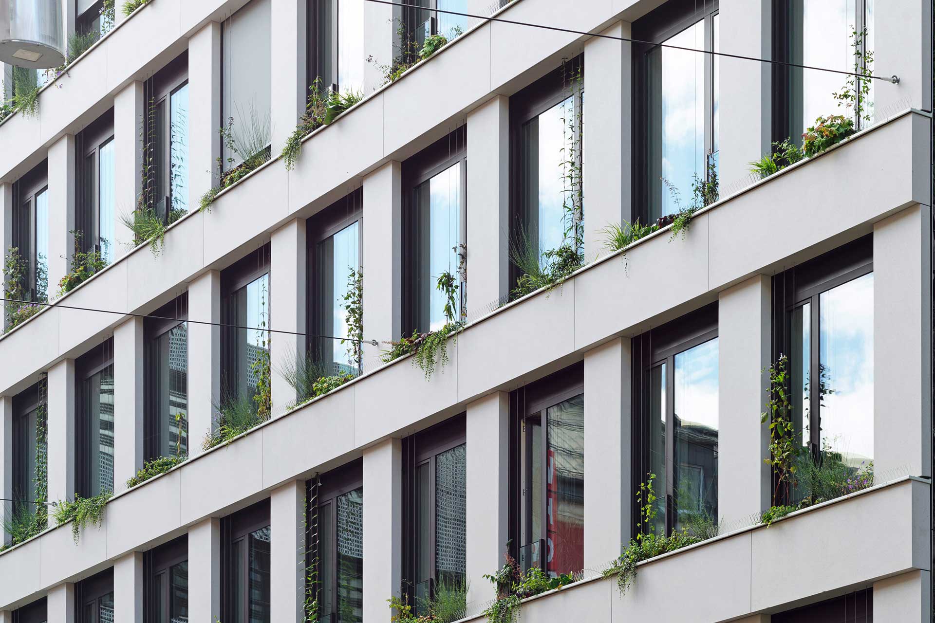Close up einer hellen Hausfassade mit regelmäßig angeordneten Fenstern. Die Fenstersimse sind begrünt.