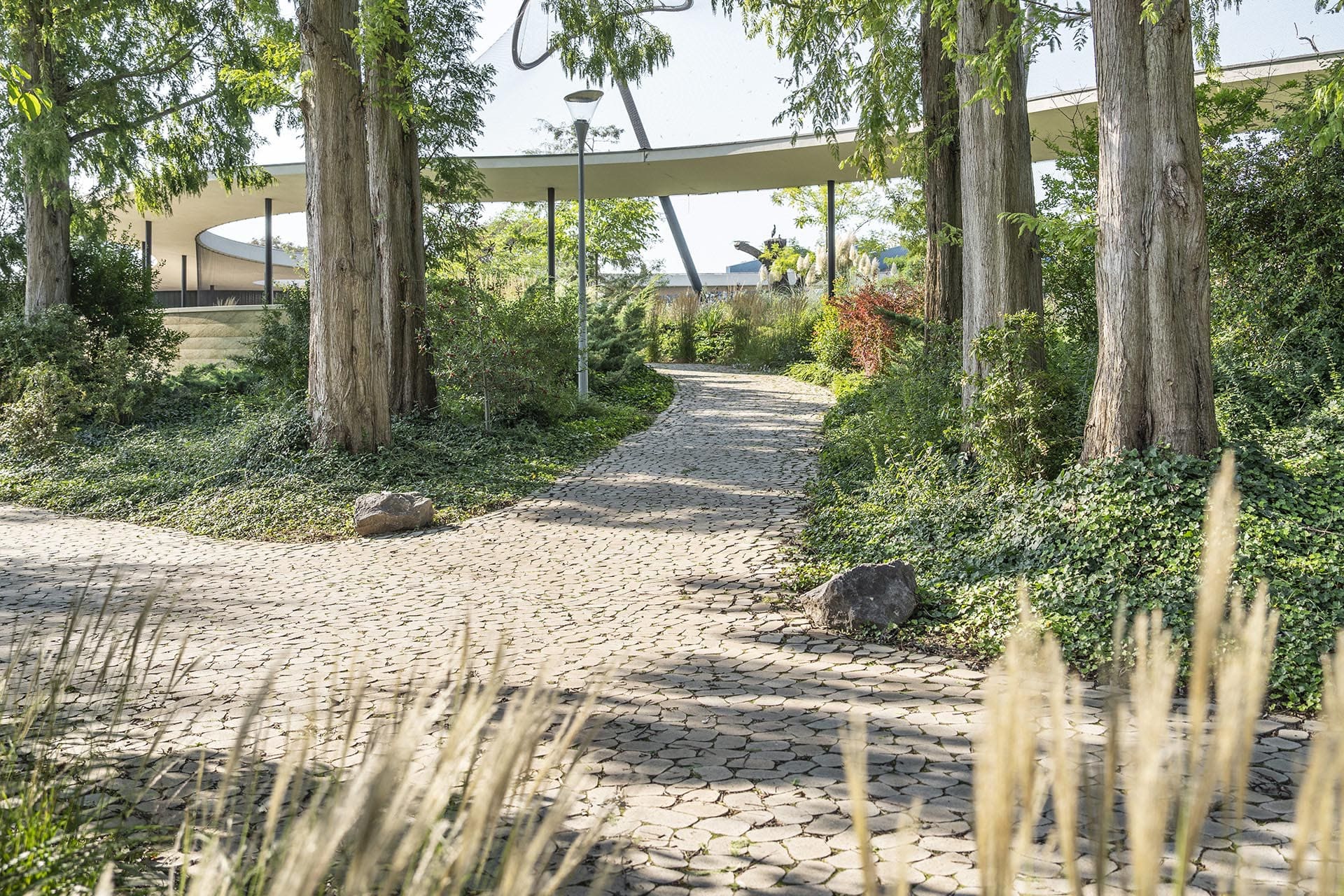 Gepflasterte Wege durch einen Park mit Bäumen.