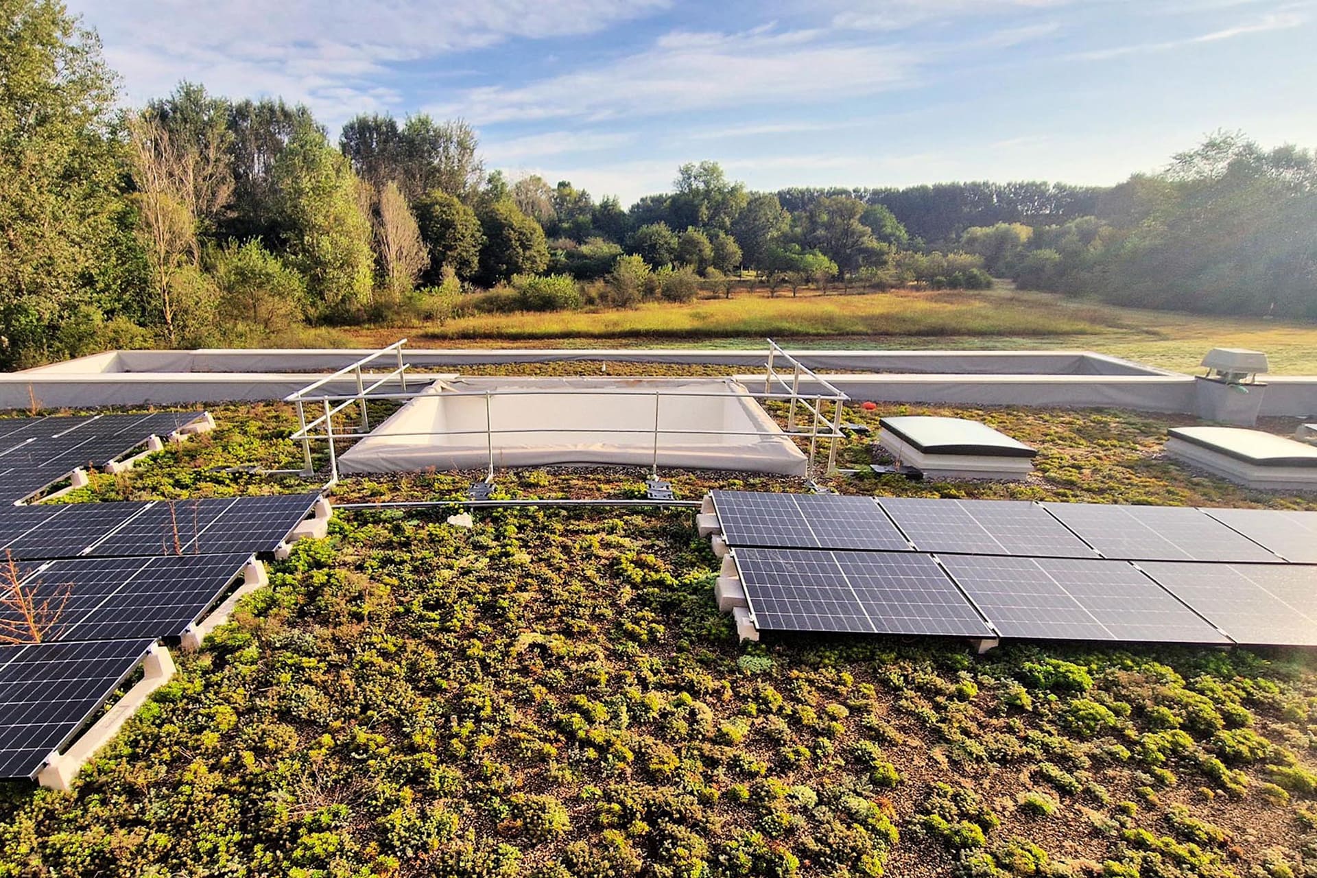 Greened flat roof with skylights and a photovoltaic system.