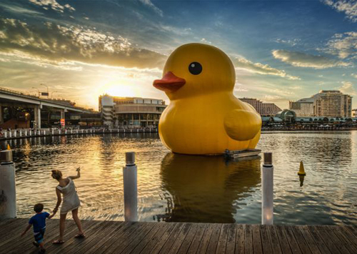 01-rubber duck