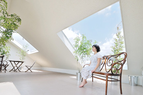 02-roof space treetop view