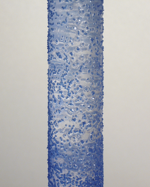 03-detail of stem stem detail