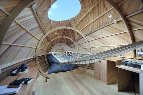 03-inside the egg