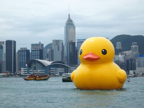05-rubber duck