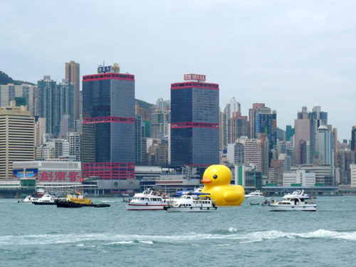 06-rubber duck