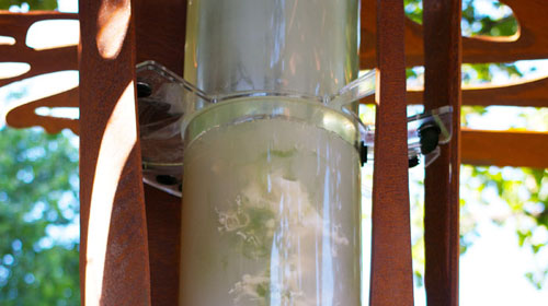 07-algaezb algae column.