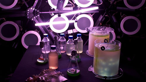 09-algaezb Algae lab.