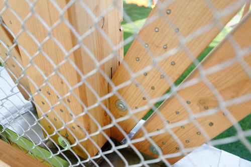 09-through the mesh